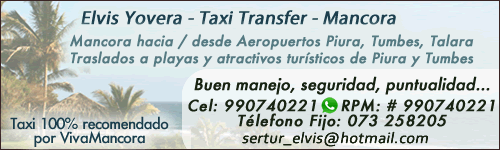 Elvis Taxi