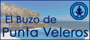 El Buzo de Punta Veleros